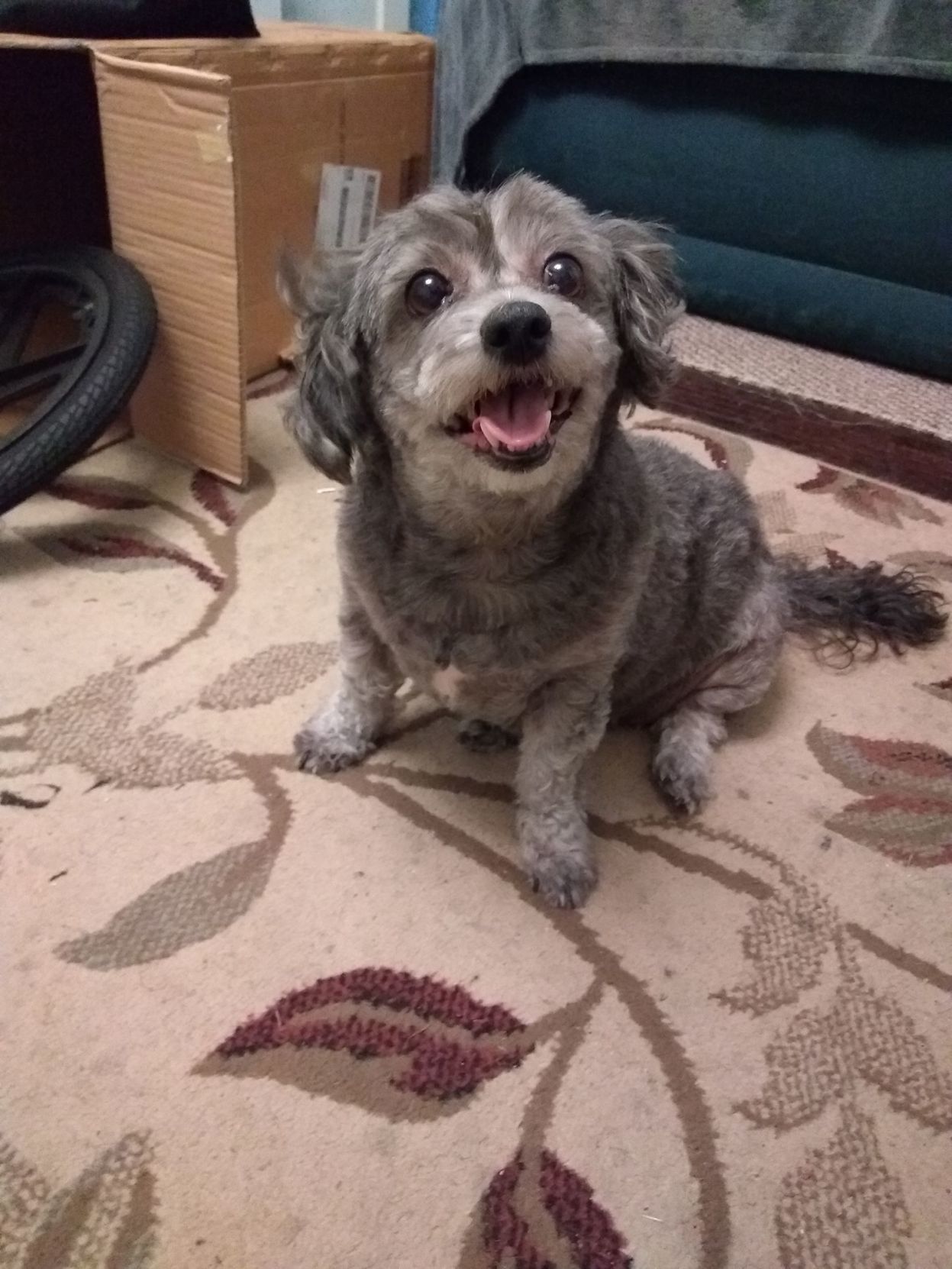 Chloe